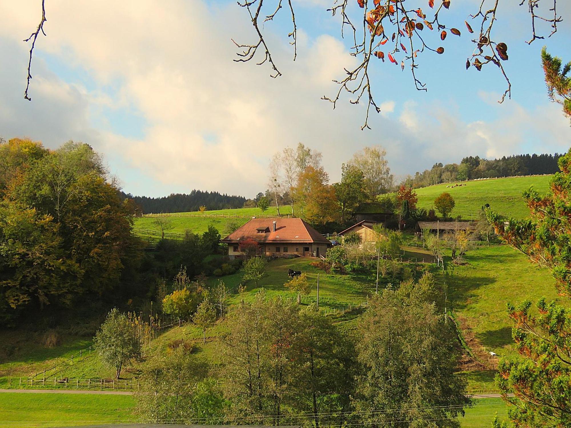 Hernis-Hoefle Elzach Luaran gambar