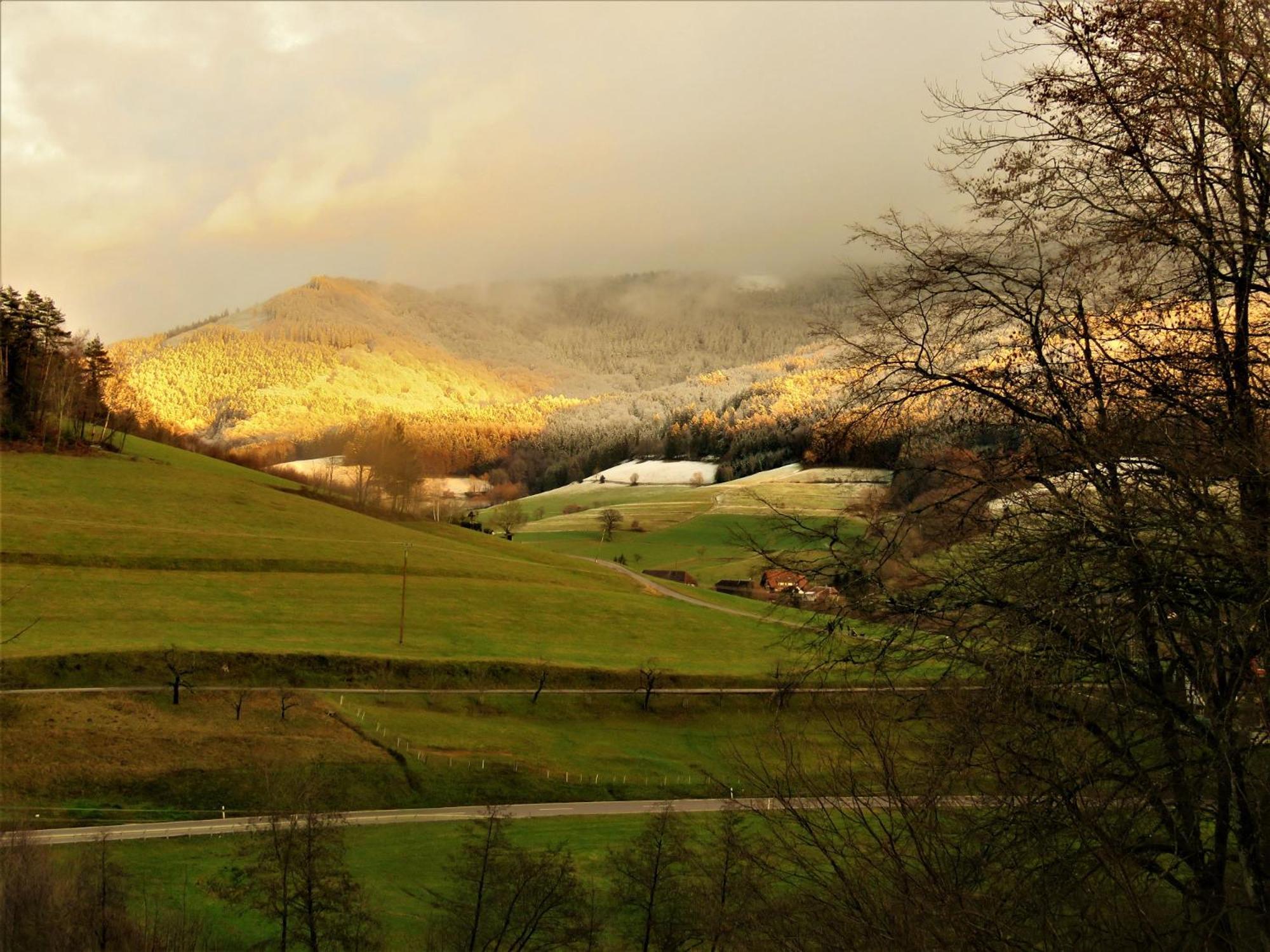 Hernis-Hoefle Elzach Luaran gambar